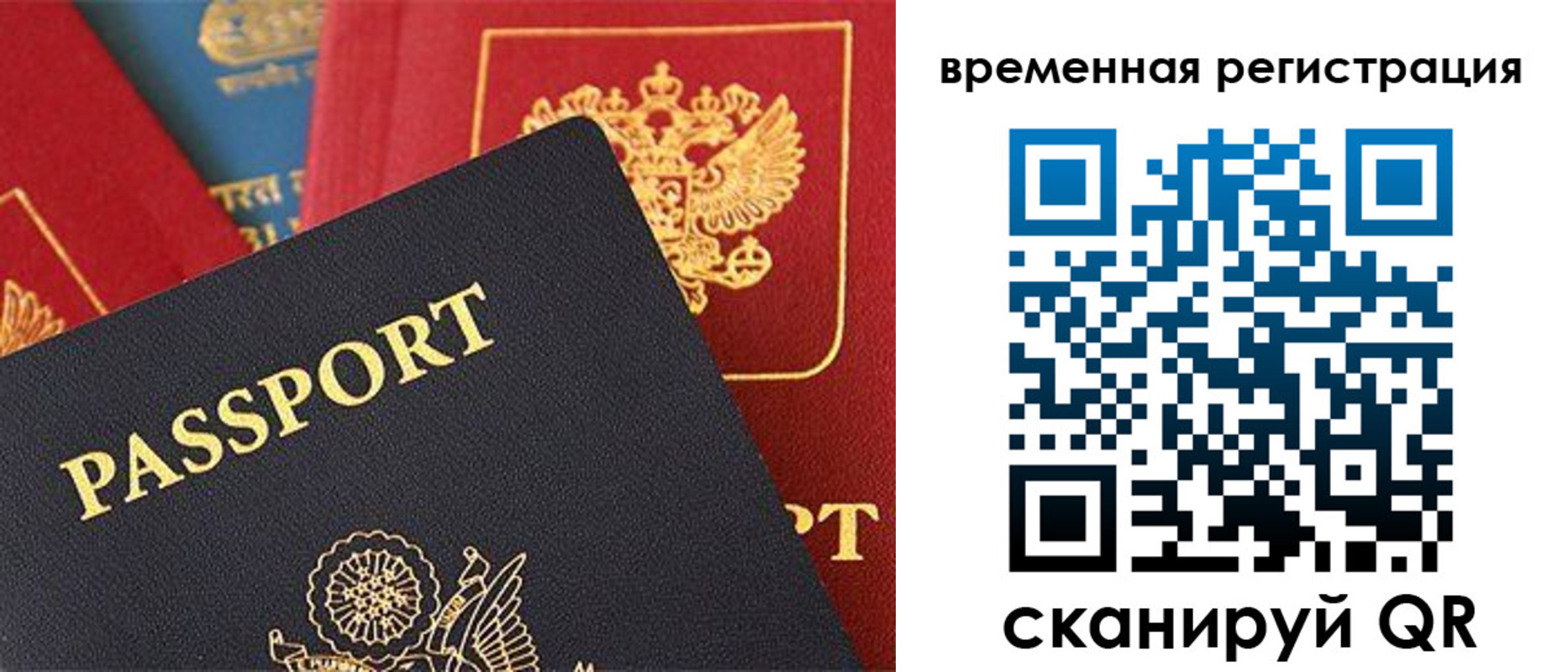 временная регистрация гарантия в Камышине